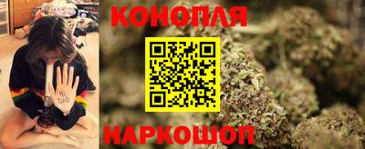 молекула духа Камышлов